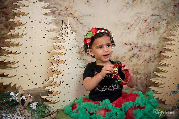 Navidad-13661