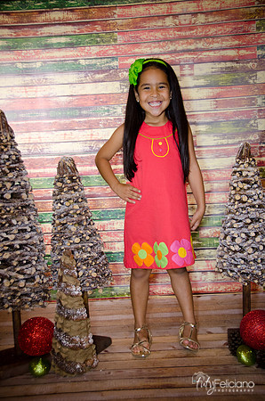Navidad 3 2014-4119