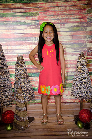 Navidad 3 2014-4115