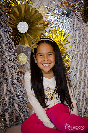 Navidad 3 2014-4178
