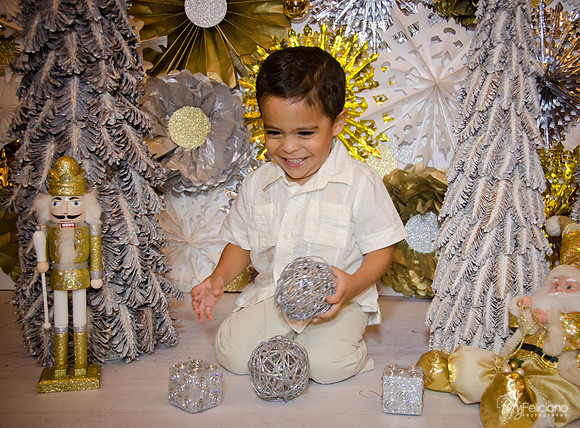 Navidad 3 2014-4255