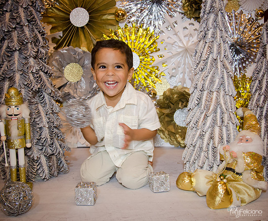 Navidad 3 2014-4265