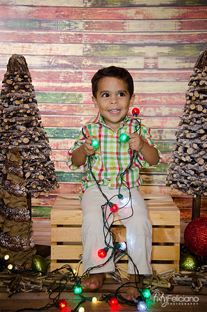 Navidad 3 2014-4015