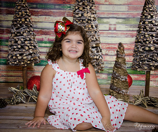 Navidad 2014-1095