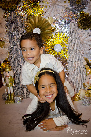 Navidad 3 2014-4205