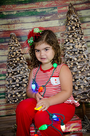 Navidad 2014-1594