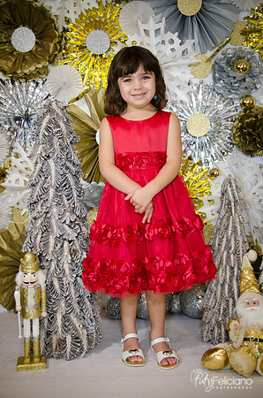 Navidad2014-121646
