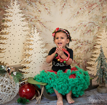 Navidad-13625