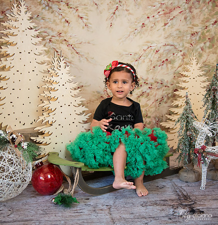 Navidad-13570
