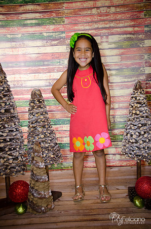Navidad 3 2014-4117