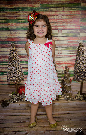 Navidad 2014-1143