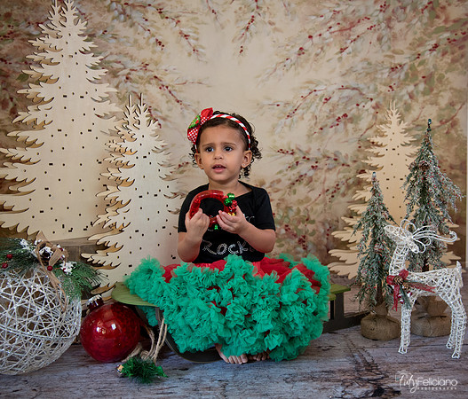Navidad-13509
