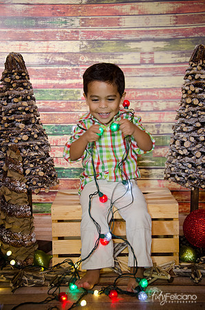 Navidad 3 2014-4019
