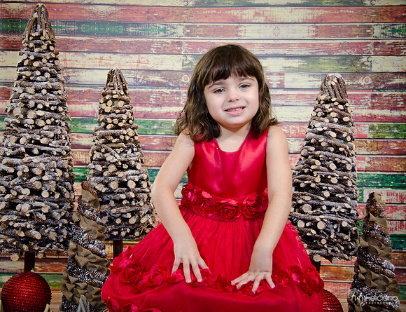 Navidad2014-121602