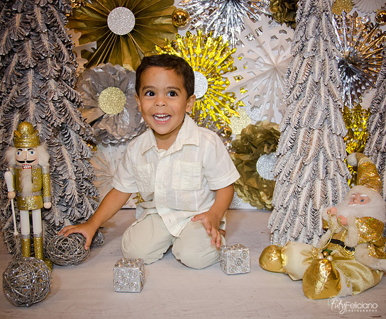 Navidad 3 2014-4262