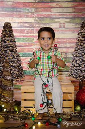 Navidad 3 2014-4014