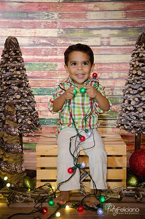 Navidad 3 2014-4016