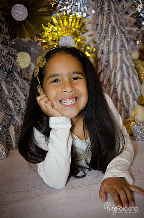 Navidad 3 2014-4184