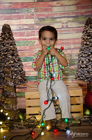 Navidad 3 2014-3999
