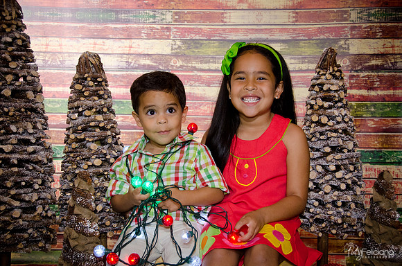 Navidad 3 2014-4104