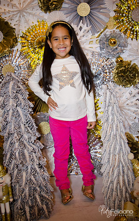 Navidad 3 2014-4156