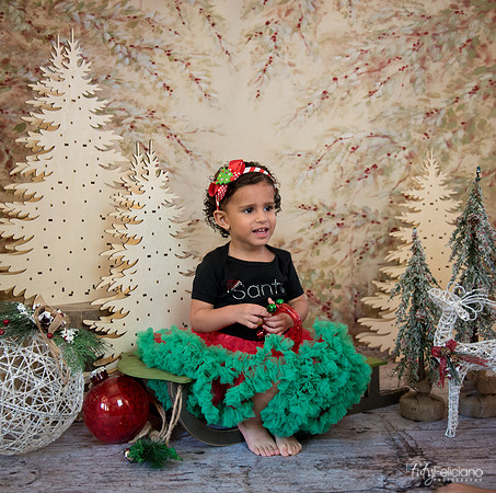 Navidad-13551