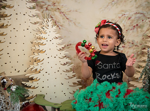Navidad-13642