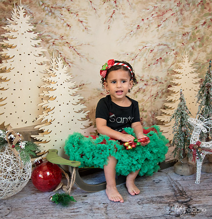 Navidad-13582