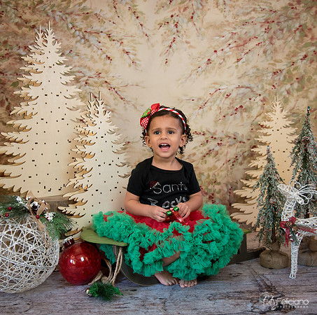 Navidad-13561
