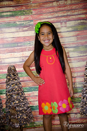 Navidad 3 2014-4122