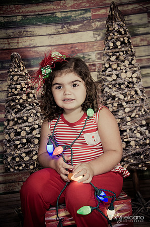 Navidad 2014-1600