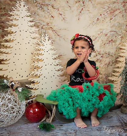 Navidad-13608