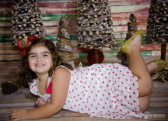 Navidad 2014-1100