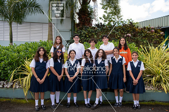 Adianez 4-2198