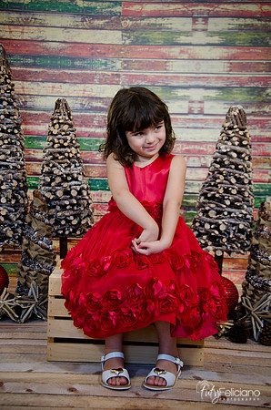 Navidad2014-121555