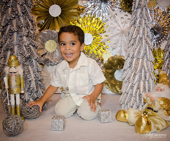 Navidad 3 2014-4261