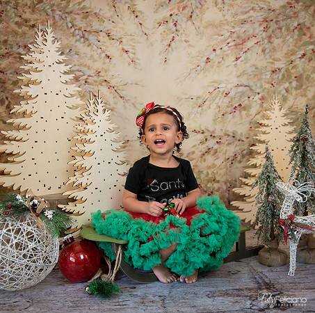 Navidad-13560