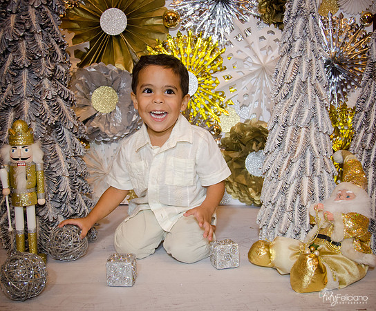 Navidad 3 2014-4263