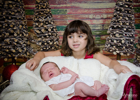 Navidad2014-121787