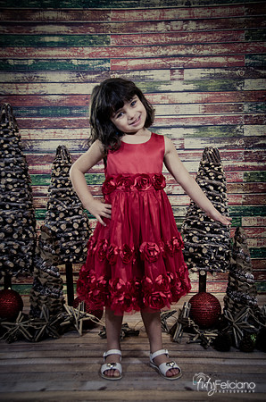 Navidad2014-121521