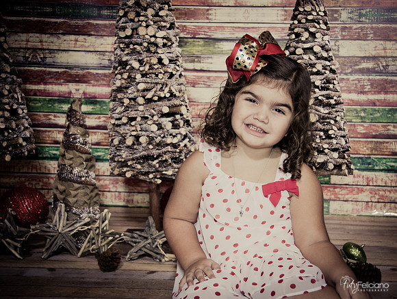 Navidad 2014-1090