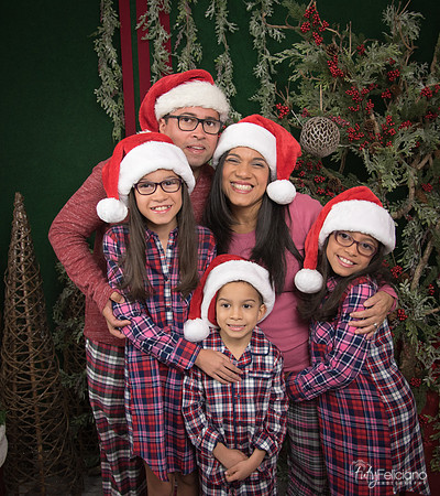 2017-Navidad-179