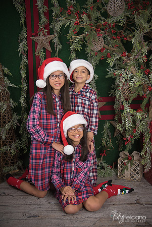 2017-Navidad-202