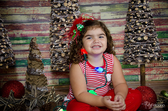 Navidad 2014-1620