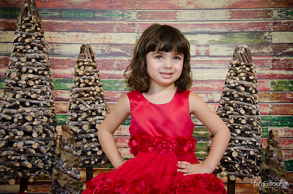 Navidad2014-121609