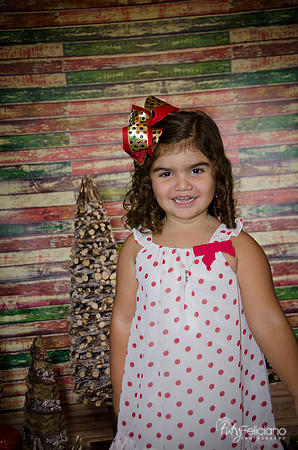 Navidad 2014-1155