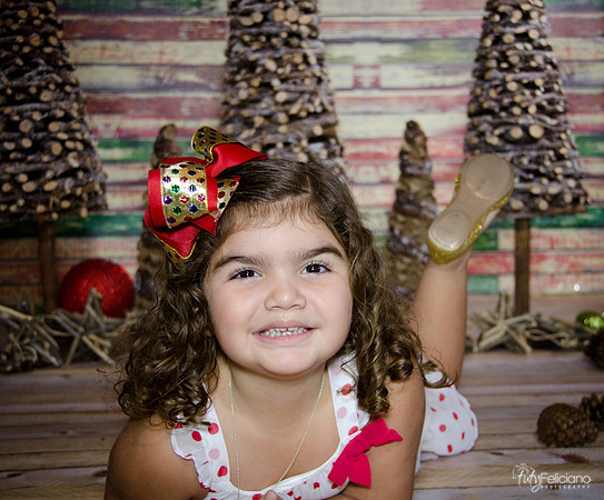 Navidad 2014-1103