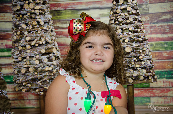 Navidad 2014-1073