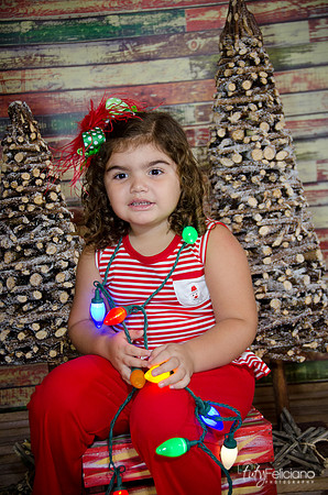 Navidad 2014-1602
