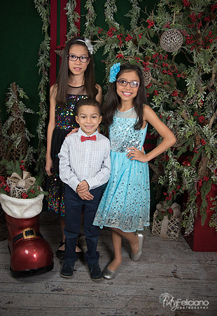 2017-Navidad-7